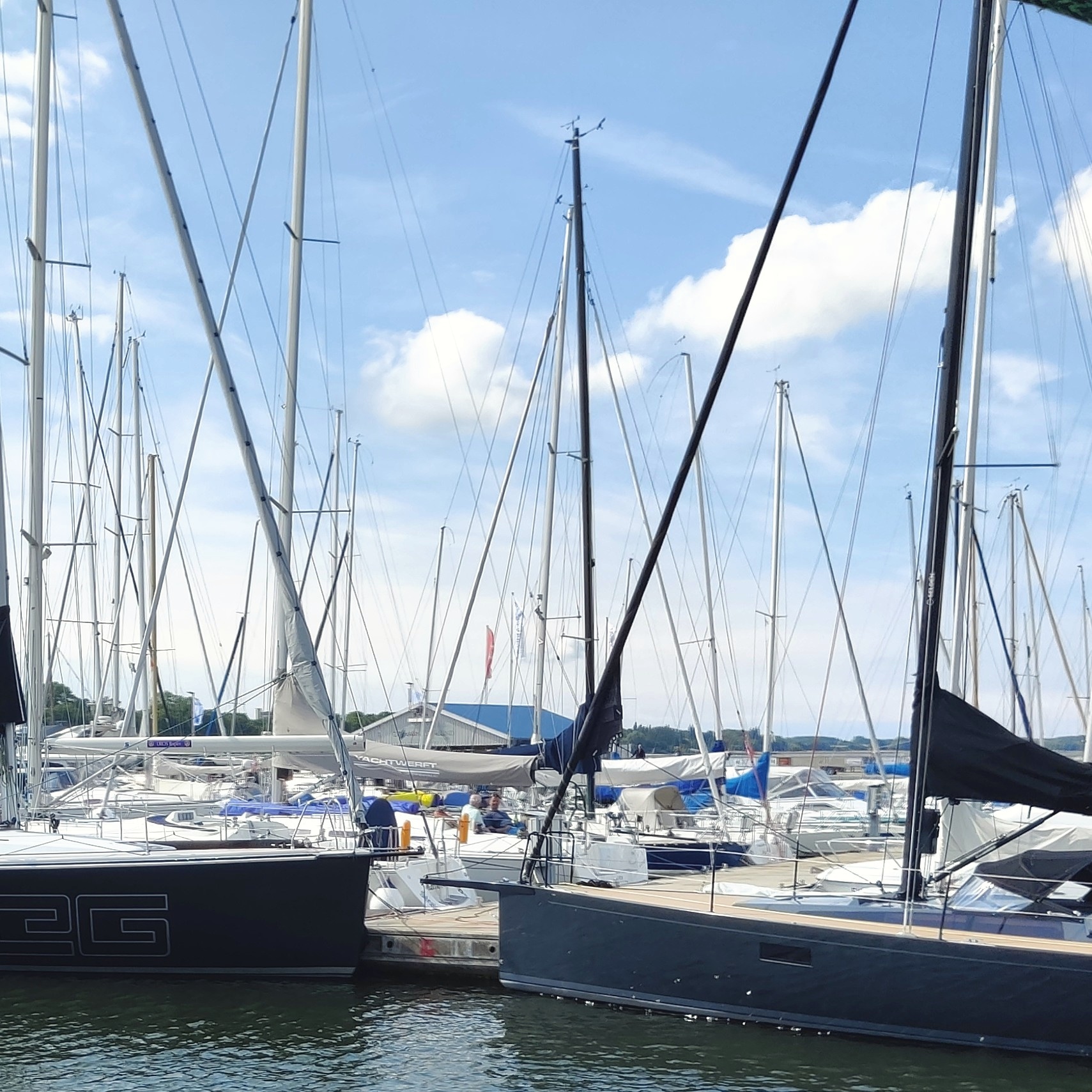 photo of a lot of sailboats in a marina with a blue sky with some fluffy clouds in the background